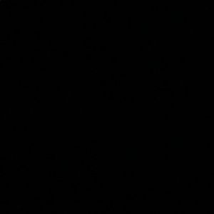 Meet your Posher, Kiara